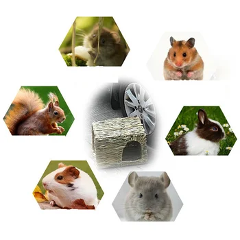 Namas Maži augintiniai Triušių narvai Lova Kiaulė Kramtomasis žiurkėnas Priedai Žaisliniai lizdai Austi Gvinėjos žolės zuikio kilimėlis Sulankstomas gyvūnas