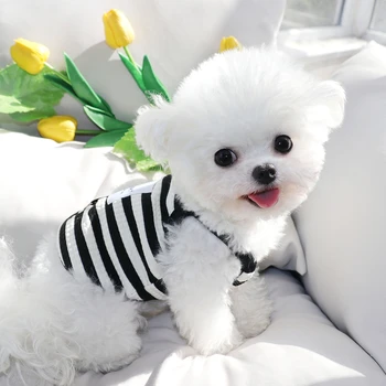 prancūziškas pavadėlis Šunų drabužiai Vasarinis plonas apykaklė Meškiukas Dryžuota liemenė Minkštas džemperis šuniukams Kvėpuojantys apatiniai marškiniai XS-XL