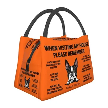 Custom Mielas šuo Bostono terjeras Pietų krepšiai Vyrai Moterys Aušintuvas Šiltos izoliuotos pietų dėžutės darbui Pinic arba Kelionės