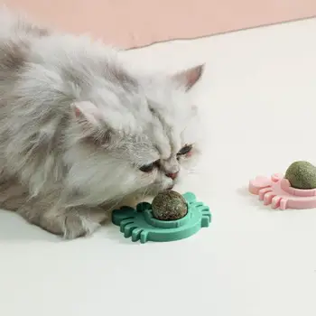 Grindims pritaikyti kačių žaislai Skatina virškinimą Katžolė Siena Kamuoliukas Žaislas Lazdelės dizainas Gaivinkite kvapą Dantų šlifavimas Animacinis filmas Katės žaislinė katė
