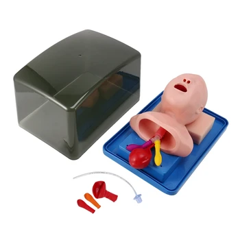 Naujagimių trachėjos intubacijos modelis Analoginis dvigubo plaučių ir skrandžio išsiplėtimo vaiko trachėjos intubacijos mokymo modelis
