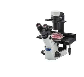 Olymps Ckx-ccsw ląstelių tankio tyrimas Išplėstinis mikroskopas