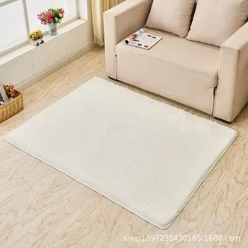 Paprasta miegamojo svetainė Sofa Vienspalvis storas kilimas